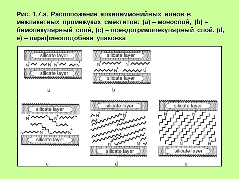 Рис. 1.7.а. Расположение алкиламмонийных ионов в межпакетных промежуках смектитов: (a) – монослой, (b) –
